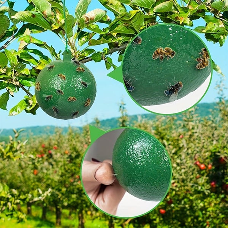 Hanging Environmental Fruit Fly Traps Sticky Traps
